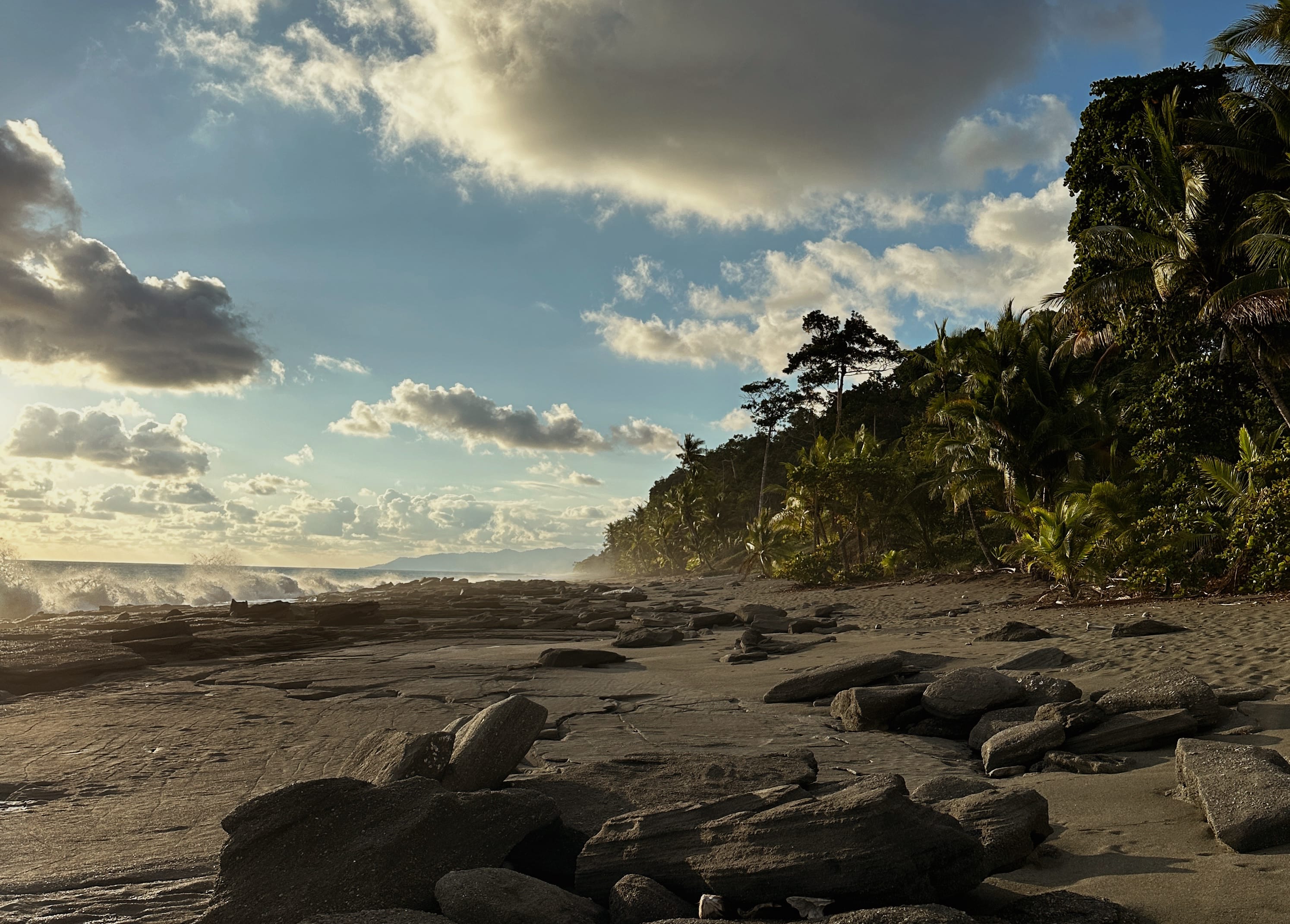 The Pacific Coast