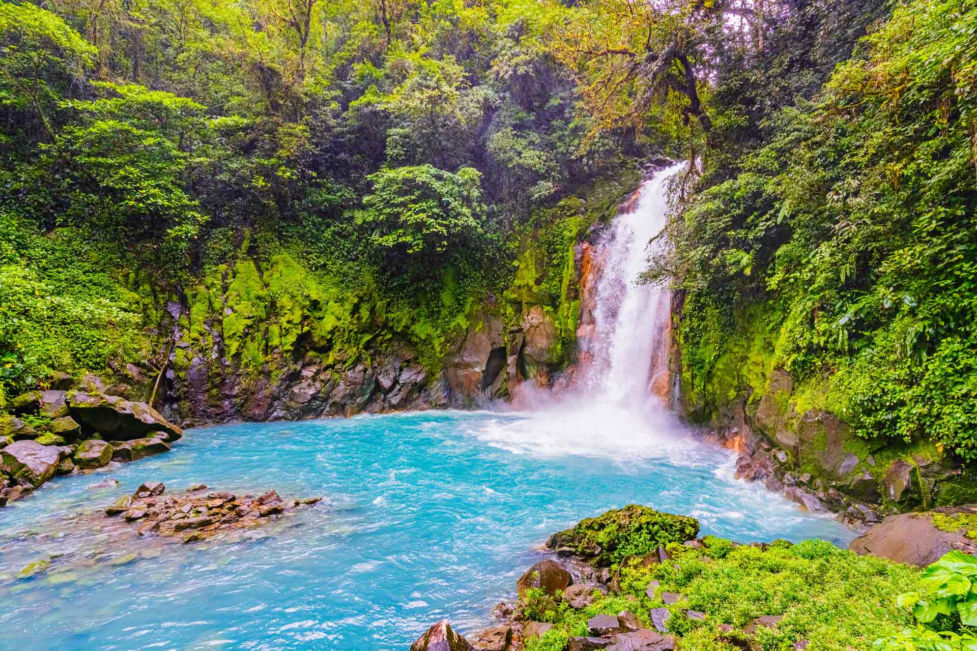 Forest trail leading to a Manuel Antonio waterfall