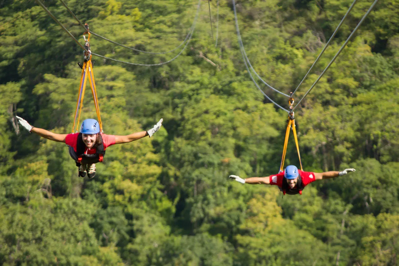 Rainforest canopy and zipline near Manuel Antonio